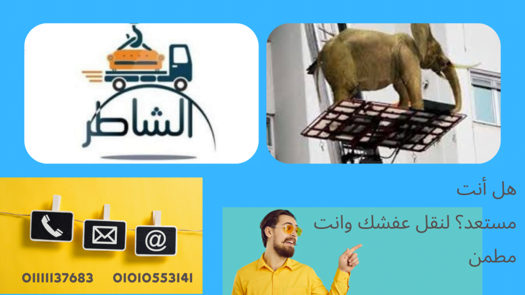 ونش رفع الاثاث ببنها
